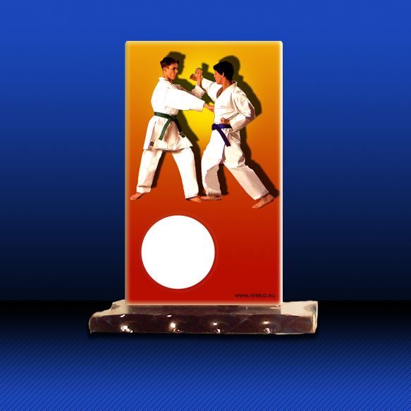 logotrophy/fotobig/karate.jpg