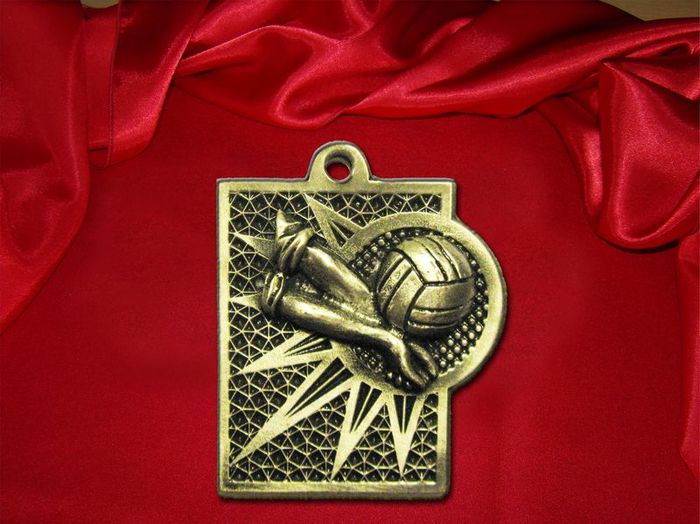 medals/fotobig/voleybal.jpg